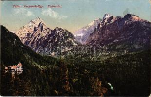 1918 Tátra, Magas-Tátra, Vysoké Tatry; Tarpatakvölgy. Cattarino S. utóda Földes Samu kiadása / Kolbachtal (EK)