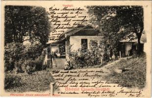 1904 Ceméte, Czeméthe, Czeméte-fürdő, Cemjata (Eperjes, Presov); vendéglő. Divald / restaurant (EK)