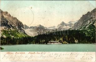 1906 Tátra, Magas-Tátra, Vysoké Tatry; Poprádi-tó. Cattarino S. kiadása 214. sz. / Popper-See / Popradské pleso / lake (kis szakadás / small tear)