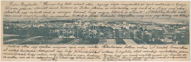 1904 Eperjes, Presov; 2-részes kihajtható panorámalap. Fénynyomat Divald műintézetéből / 2-tiled folding panoramacard (EK)