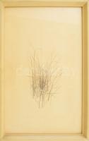 Olajos György (1953-): Egy marék fű. Rézkarc, papír. jelzett, 28x15 19x27 cm