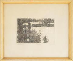 Olajos György (1953-): Lálbtörlő, Tanulmány. Rézkarc, papír. jelzett, sorszámozott próbanyomat VI. Ü...