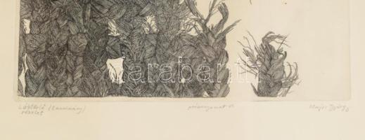 Olajos György (1953-): Lálbtörlő, Tanulmány. Rézkarc, papír. jelzett, sorszámozott próbanyomat VI. Ü...