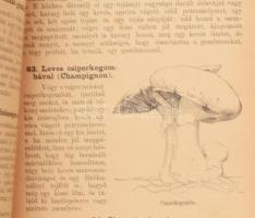 St. Hilaire Jozéfa: A valódi szakácsság vagy legujabban átvizsgált és tökéletesített Képes pesti sza...