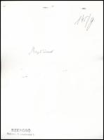 1938 Szendrő István (1908-2000): Mezőkövesd, matyó esküvő, feliratozott, pecséttel jelzett fotó, 23×...