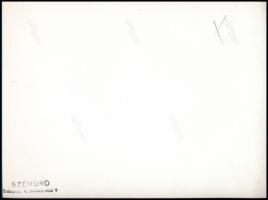 1945 Szendrő István (1908-2000): Budapest, a szétlőtt Margit híd, pecséttel jelzett fotó, 16,5×21,5 ...