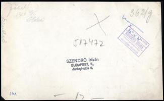 cca 1940-1950 Szendrő István (1908-2000): Lányok libákkal, pecséttel jelzett fotó, felületén törésny...