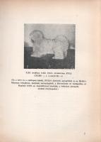 Badiny Jós Ferenc: 
Mah-Gar a Magyar...! Nyílt levél Komoróczy Gézához. Válasz ,,Sumer és Magyar......