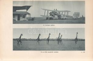 Széchenyi Zsigmond: 
Elefántország. Afrikai vadásznaplójegyzetek (1932-33, 1933-34).
Budapest, (19...