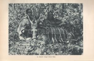 Széchenyi Zsigmond: 
Elefántország. Afrikai vadásznaplójegyzetek (1932-33, 1933-34).
Budapest, (19...