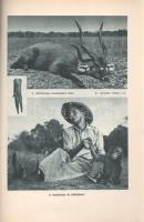 Széchenyi Zsigmond: 
Elefántország. Afrikai vadásznaplójegyzetek (1932-33, 1933-34).
Budapest, (19...