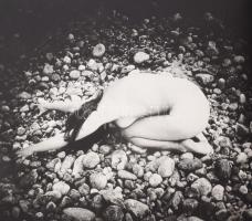 Barabás András (szerk.): Aktalbum. Bp., 1984, Corvina. Kiadói kartonált kötés, gerinc sérült, kissé ...