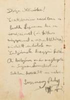 cca 1914-1923 Vöröskeresztes ápolónő emlékkönyve, az I. világháború idejéből és az azt követő évekbő...