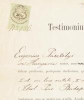 1876 Bp., a Piarista Gimnázium által kiállított, latin nyelvű érettségi bizonyítvány, Lutter Nándor ...