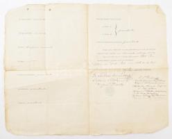 1876 Bp., a Piarista Gimnázium által kiállított, latin nyelvű érettségi bizonyítvány, Lutter Nándor ...