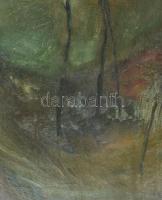 Jelzés nélkül: Erdei táj. Olaj, vászon. Hátoldalán (román?) kiviteli bélyegzővel. 80×60 cm