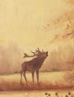 Olvashatatlan jelzéssel, XX. sz. első fele-közepe: Szarvasbőgés. Olaj, vászon. 60×80 cm