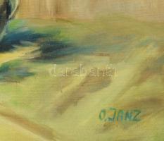 O. Janz jelzéssel: Virágcsendélet. OIaj, vászon, sérült. 60×46 cm