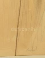 Maracskó Gabriella (1949-2023): Dobozba zárt társulat. Vegyes technika, papír, jelzett. Üvegezett fa...