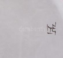 Habán fali dísztál, múzeumi másolat. Mázas kerámia, kézzel festett, hibátlan d: 31 cm