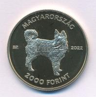 2022. 2000Ft Cu-Ni-Zn "Mudi" kapszulában T:P