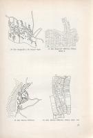 Dám László: 
A Nagy-Sárrét népi építészete. (Kétszeresen dedikált.)
Debrecen, 1975. (Kossuth Lajos...