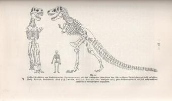 Dacqué, Edgar: 
Urwelt Sage und Menschheit. Eine naturhistorisch-metaphysische Studie. Fünfte Aufla...