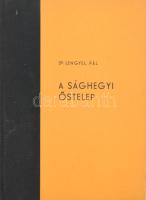 Dr. Lengyel Pál: A sághegyi őstelep. A szerző által DEDIKÁLT példány! Celldömölk, 1965, Celldömölk Községi Tanácsa Végrehajtó Bizottsága. Fekete-fehér képekkel illusztrált. Kiadói félvászon-kötés, jó állapotban. Megjelent 1000 példányban.