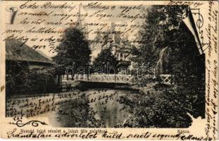 1905 Kassa, Kosice; Hernád folyó részlet a Jakab féle palotával. Divald Károly 807. sz. / riverside, villa, palace (EK)