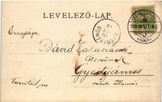 1903 Tátra, Magas-Tátra, Vysoké Tatry; Csorba tó / Strbské pleso / lake. photo (EK)