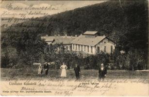 1904 Kassa, Kosice; Bankó-fürdő, Bankói fenyves. Breitner Mór kiadása / forest, spa, bath in Bankov (EB)