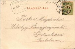 1904 Kassa, Kosice; Bankó-fürdő, Bankói fenyves. Breitner Mór kiadása / forest, spa, bath in Bankov ...