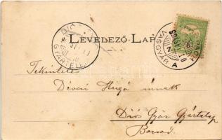 1904 Trencsénteplic, Trencianske Teplice; szanatórium. Wertheim Zsigmond kiadása / sanatorium (fl)