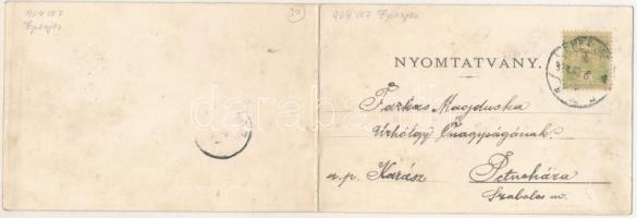 1904 Eperjes, Presov; 2-részes kihajtható panorámalap. Fénynyomat Divald műintézetéből / 2-tiled fol...