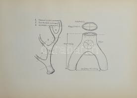 Csontkarcolatok, porszaruk rajzai. Illusztrálta Ughi István és Kovács Dénes. (Dedikált.)
Csíkszered...