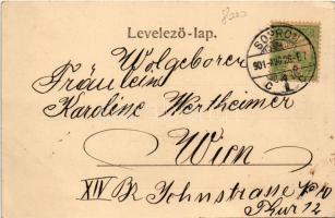 1901 Sopron, Oedenburg; Kossuth út feldíszített magyar címeres villamossal, lovaskocsi. Kummert L. k...