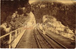 1913 Tiszolc, Tisovec; Fogaskerekű vasúti híd, iparvasút. Kreisler József 161. (W.L. ?) / cogwheel industrial railway bridge (EB) + &quot;ZÓLYOM-BRÉZÓ - ZÓLYOM 97. SZ.&quot; vasúti mozgóposta