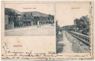 1910 Bukova, Bucova (Banat); Fogaskerekű vasútállomás, Fogas pálya, gőzmozdony, vonat / cogwheel railway station, train, locomotive (fa)