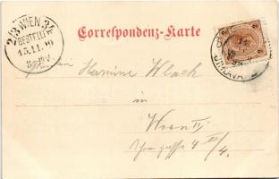 1899 (Vorläufer) Jihlava, Iglau; Brünnerstrasse / street