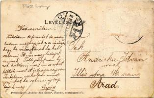 Pozsony, Pressburg, Bratislava; Ferencziek torony a ligetben. Bediene dich allein / tower (szakadás ...