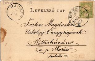 1904 Eperjes, Presov; Emlékkő az erdei laknál, a háttérben Eperjes. Cattarino S. kiadása 142. / monu...