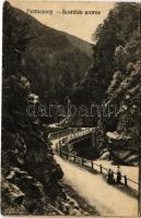 1922 Petrozsény, Petrosani; Szurduki szoros, híd / Pasul Surduc / mountain pass, bridge (EK)