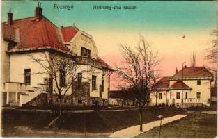 1914 Rozsnyó, Roznava; Andrássy utca, villa. Fuchs József kiadása / street view, villa (fl)