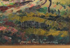 Vágh-Weinmann Mihály, Maurice (1899-1986): Francia táj. Olaj, vászon, jelzett. Fakeretben. 54x65 cm