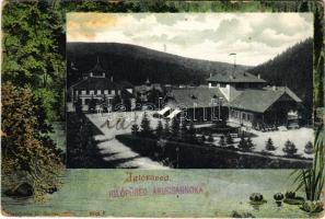 1904 Iglófüred, Bad Zipser Neudorf, Spisská Nová Ves Kupele, Novovesské Kúpele; fürdő látképe. Wlaszlovits G. kiadása. Szecessziós erdős keret / spa. Art Nouveau forest frame (fa)