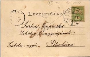 1904 Bártfafürdő, Bardejovské Kúpele, Bardejov; Felső úri utca, nyaralók. Kiadja Divald Adolf 111. /...