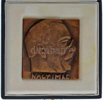 1989. &quot;Nagy Imre&quot; egyoldalas, öntött bronz plakett, hátoldalán &quot;1958. június 16. 1989&quot; gravírozással, Nagy Imre újratemetésének emlékére, eredeti tokban (70x66mm) T:UNC