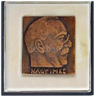 1989. "Nagy Imre" egyoldalas, öntött bronz plakett, hátoldalán "1958. június 16. 1989" gravírozással, Nagy Imre újratemetésének emlékére, eredeti tokban (70x66mm) T:UNC