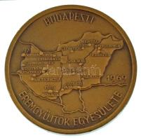 Csúcs Ferenc (1905-1999) 1969. &quot;Budapesti Éremgyűjtők Egyesülete&quot; piedfort kétoldalas bronz emlékérem (42,5mm) T:AU Adamo BP1