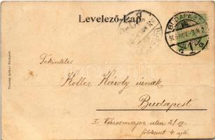 1905 Budapest XIII. Margitszigeti részlet, lóvasút. Taussig Arthur 5822. (fa)